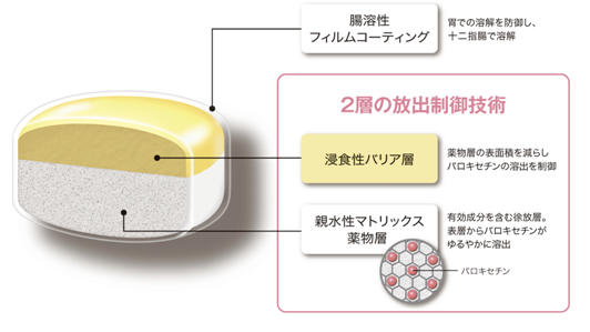 「パキシル<sup>®</sup>CR錠」の構造（模式図）