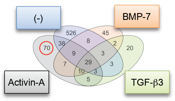 Fig. 3　FOP-iMSCでresFOP-iMSCより発現量が多い遺伝子の数