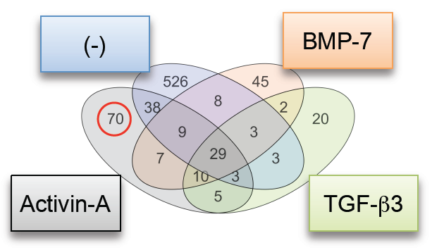 Fig. 3 FOP-iMSCでresFOP-iMSCより発現量が多い遺伝子の数