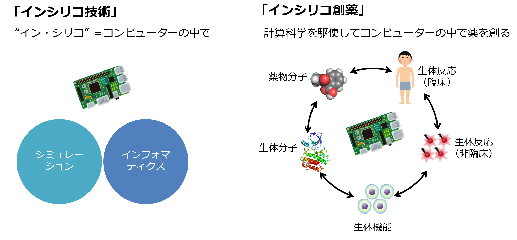 創薬研究