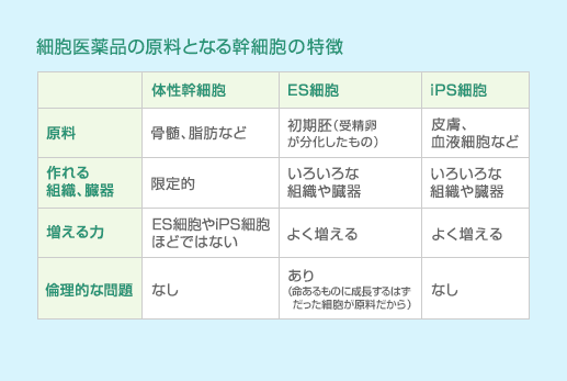 細胞医薬品の原料となる幹細胞の特徴