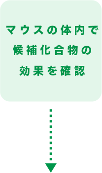 マウスの体内で候補化合物の効果を確認