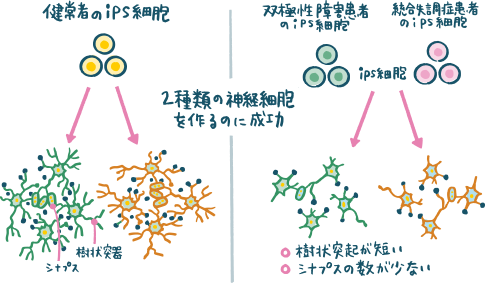 図