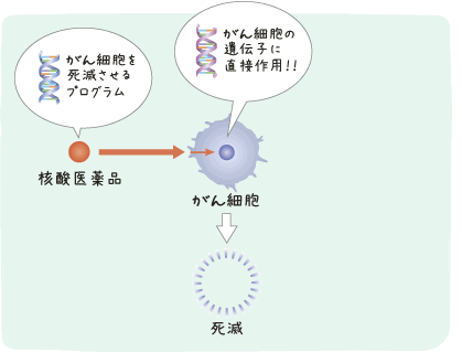 核酸医薬品