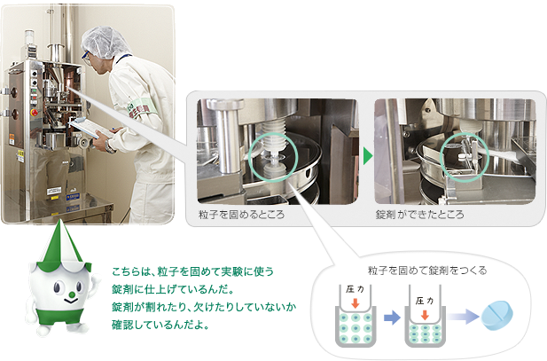 こちらは、粒子を固めて実験に使う錠剤に仕上げているんだ。錠剤が割れたり、欠けたりしていないか確認しているんだよ。 