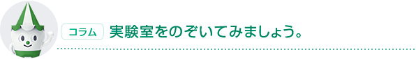 コラム　実験室をのぞいてみましょう。