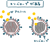 エンベロープがある