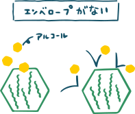 エンベロープがない