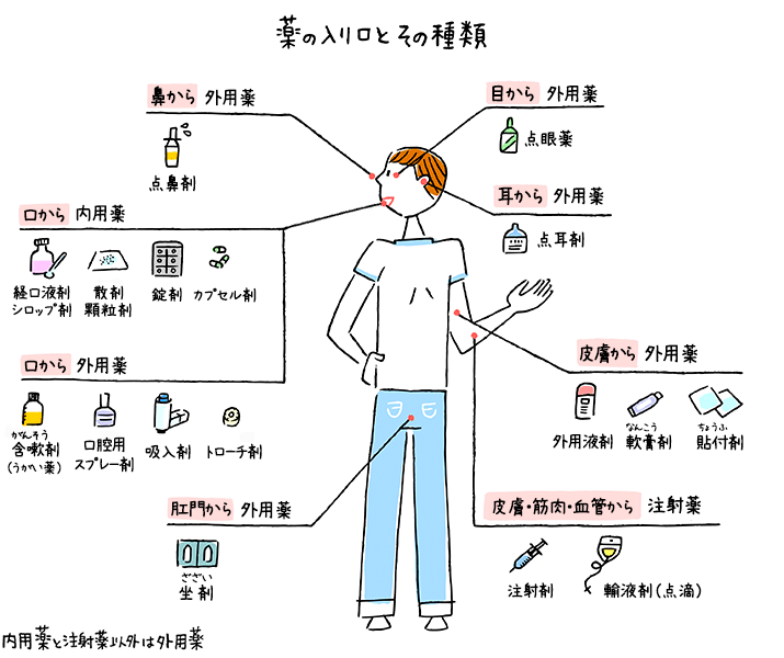 図：薬の入り口とその種類