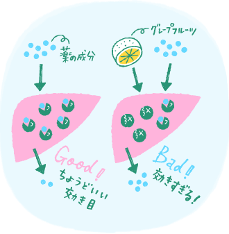 肝臓で：薬の分解・処理を邪魔する