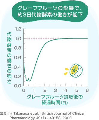 グレープフルーツの影響で、約3日代謝酵素の働きが低下