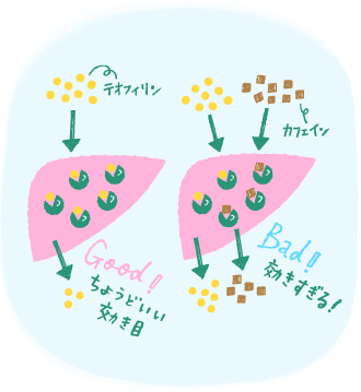 肝臓で：代謝酵素を奪い合う