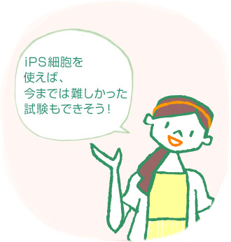 iPS細胞を使えば、今までは難しかった試験もできそう！