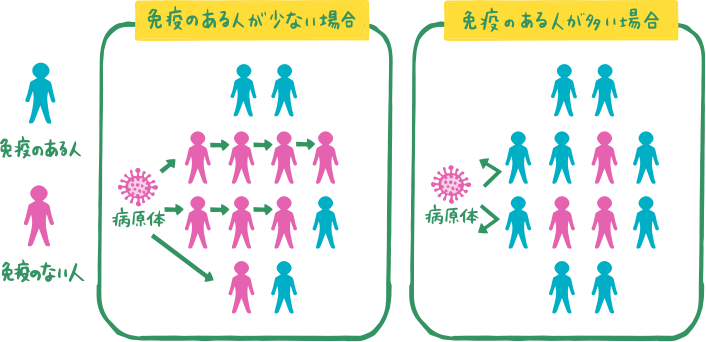 免疫のある人が少ない場合／免疫のある人が多い場合