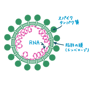 図