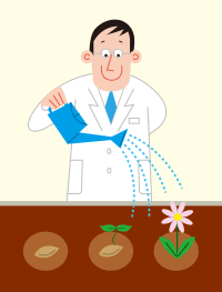 新薬として花開くまで育てる仕事