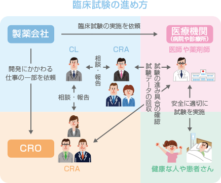 臨床試験の進め方