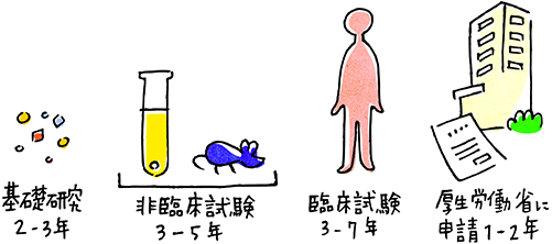 基礎研究2-3年 非臨床試験3-5年 臨床試験3-7年 厚生労働省に申請1-2年