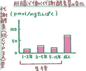 肝臓で働く代謝酵素量の変化