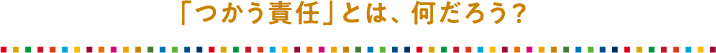 「つかう責任」とは、何だろう？