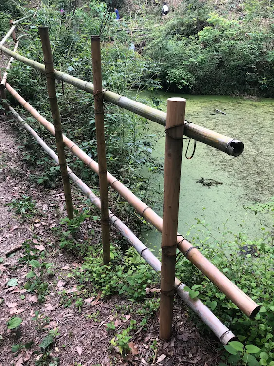 フクロウの森 伐採した竹を活用した池の柵